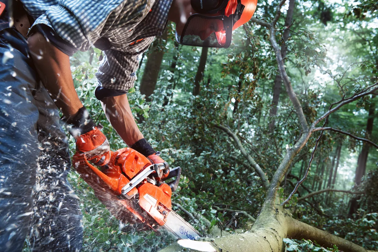 Husqvarna Kettingzaag 555